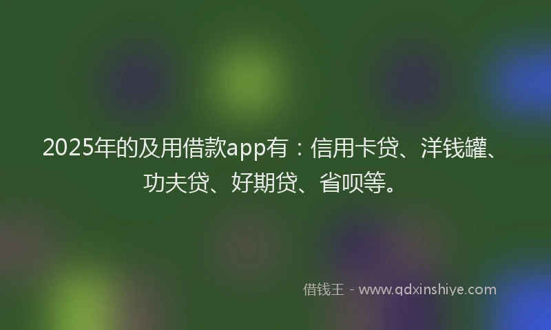 2025年的及用借款app有：信用卡贷、洋钱罐、功夫贷、好期贷、省呗等。