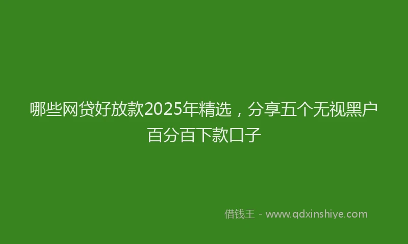 哪些网贷好放款2025年精选，分享五个无视黑户百分百下款口子