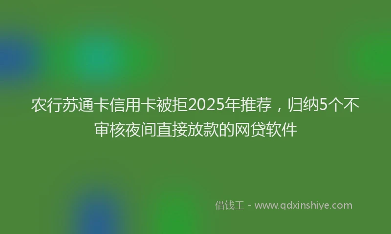 农行苏通卡信用卡被拒2025年推荐，归纳5个不审核夜间直接放款的网贷软件