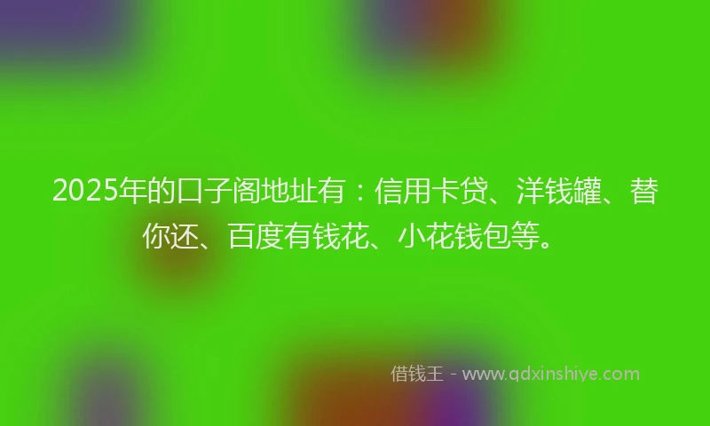 2025年的口子阁地址有：信用卡贷、洋钱罐、替你还、百度有钱花、小花钱包等。