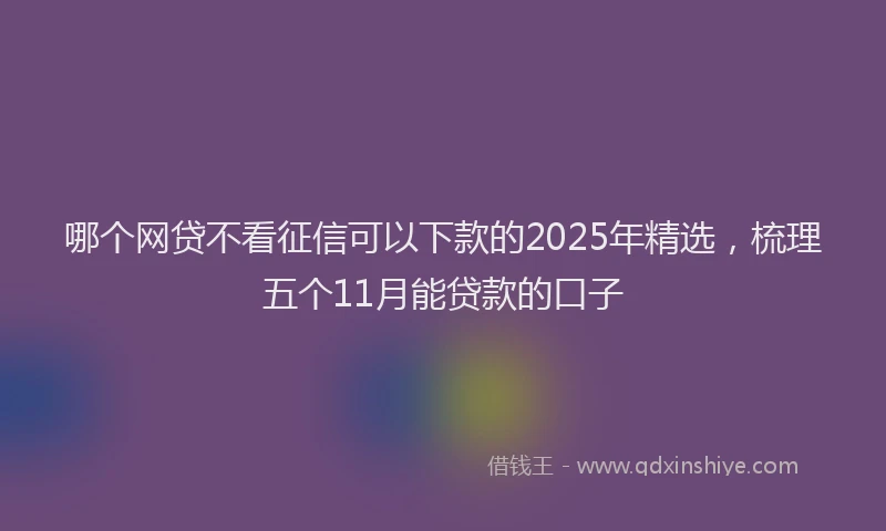 哪个网贷不看征信可以下款的2025年精选，梳理五个11月能贷款的口子