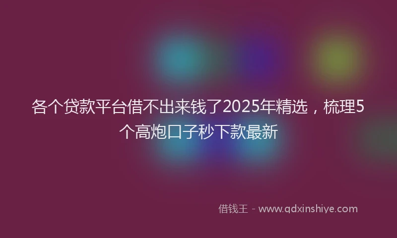 各个贷款平台借不出来钱了2025年精选，梳理5个高炮口子秒下款最新