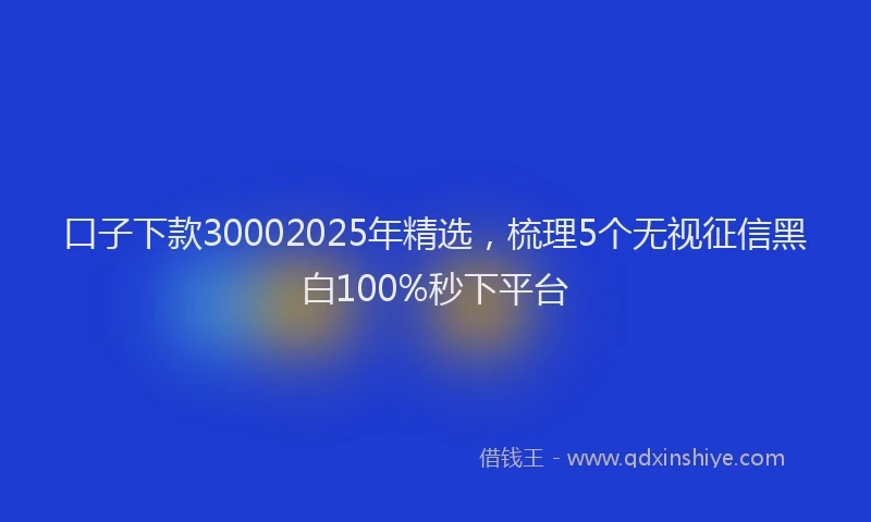 口子下款30002025年精选，梳理5个无视征信黑白100%秒下平台