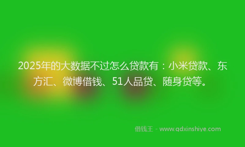 2025年的大数据不过怎么贷款有：小米贷款、东方汇、微博借钱、51人品贷、随身贷等。
