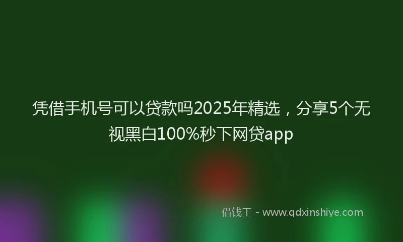 凭借手机号可以贷款吗2025年精选，分享5个无视黑白100%秒下网贷app
