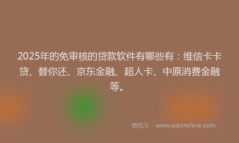 2025年的免审核的贷款软件有哪些有：维信卡卡贷、替你还、京东金融、超人卡、中原消费金融等。