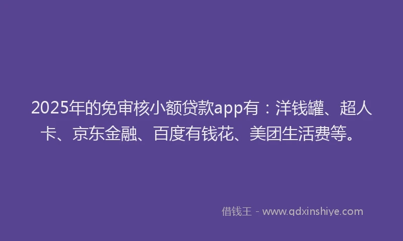 2025年的免审核小额贷款app有：洋钱罐、超人卡、京东金融、百度有钱花、美团生活费等。