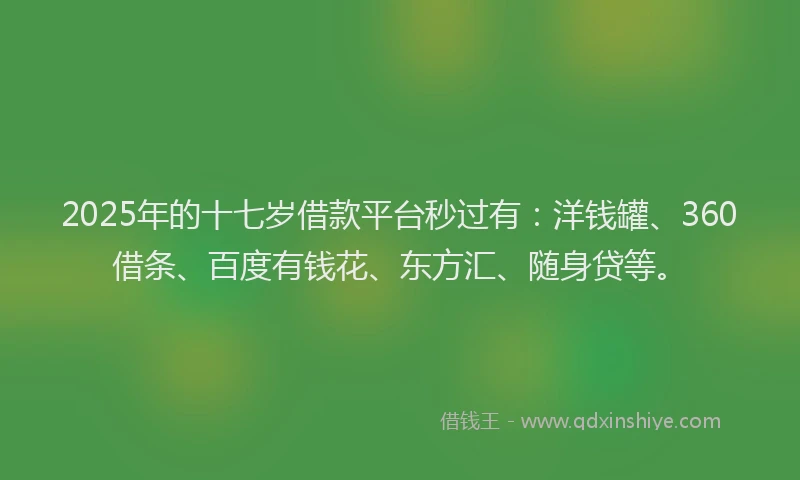 2025年的十七岁借款平台秒过有：洋钱罐、360借条、百度有钱花、东方汇、随身贷等。