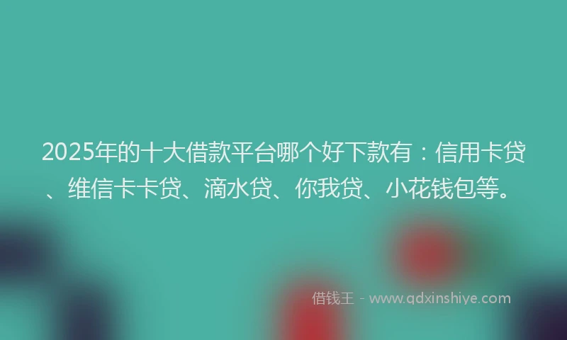 2025年的十大借款平台哪个好下款有：信用卡贷、维信卡卡贷、滴水贷、你我贷、小花钱包等。