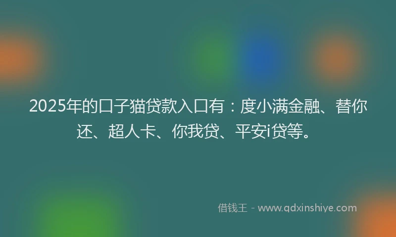 2025年的口子猫贷款入口有：度小满金融、替你还、超人卡、你我贷、平安i贷等。