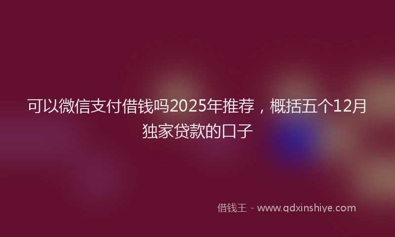 可以微信支付借钱吗2025年推荐，概括五个12月独家贷款的口子