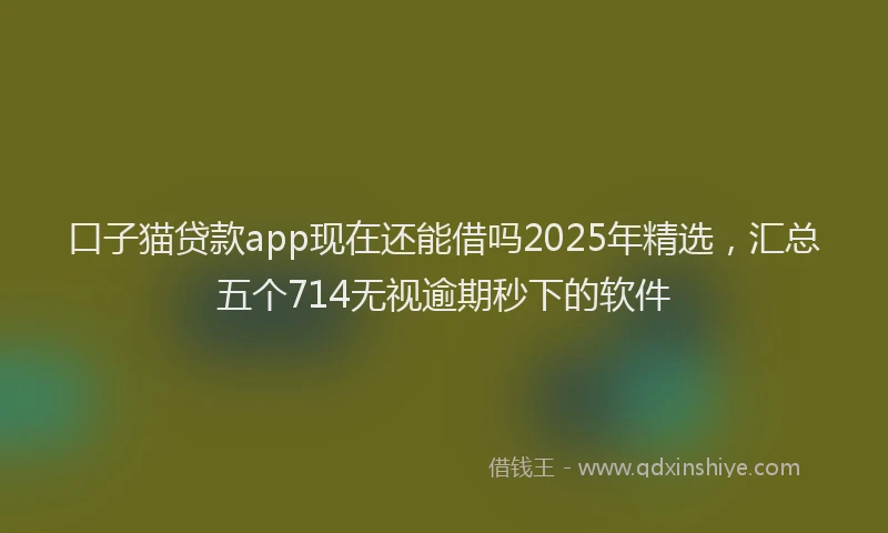 口子猫贷款app现在还能借吗2025年精选，汇总五个714无视逾期秒下的软件