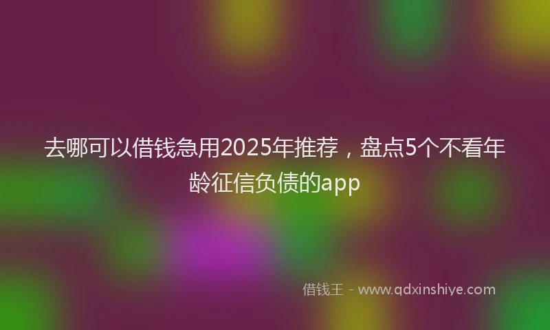 去哪可以借钱急用2025年推荐，盘点5个不看年龄征信负债的app