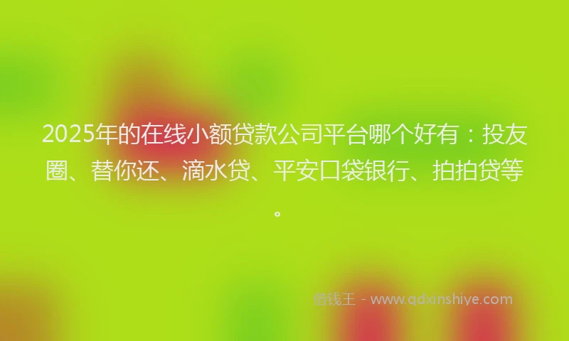 2025年的在线小额贷款公司平台哪个好有：投友圈、替你还、滴水贷、平安口袋银行、拍拍贷等。