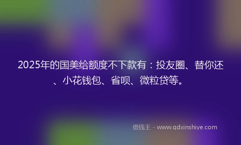 2025年的国美给额度不下款有：投友圈、替你还、小花钱包、省呗、微粒贷等。