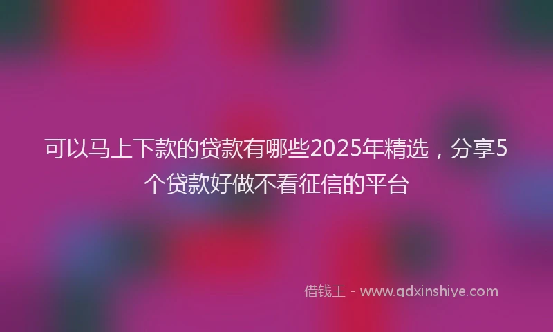 可以马上下款的贷款有哪些2025年精选，分享5个贷款好做不看征信的平台
