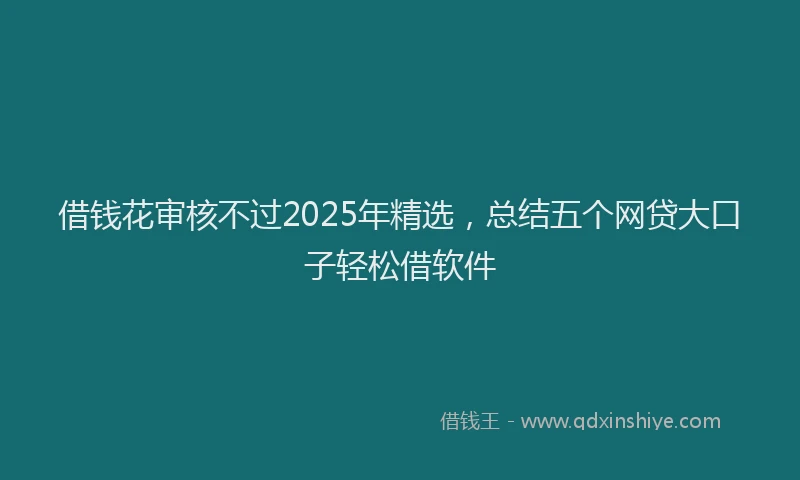 借钱花审核不过2025年精选，总结五个网贷大口子轻松借软件