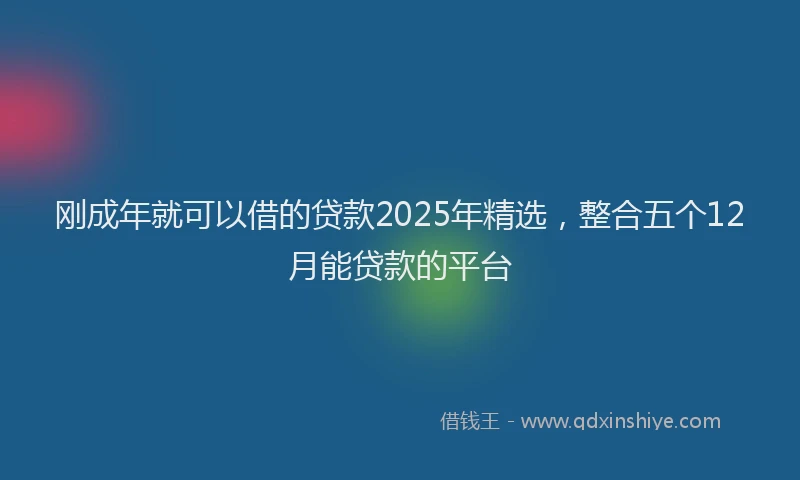 刚成年就可以借的贷款2025年精选，整合五个12月能贷款的平台