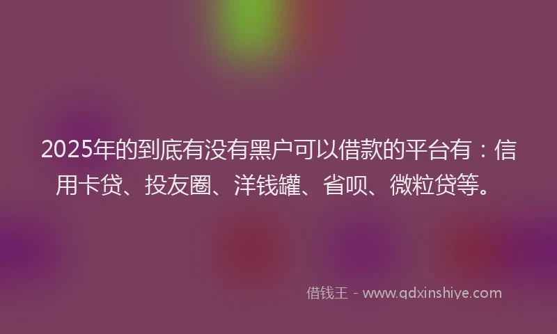 2025年的到底有没有黑户可以借款的平台有：信用卡贷、投友圈、洋钱罐、省呗、微粒贷等。