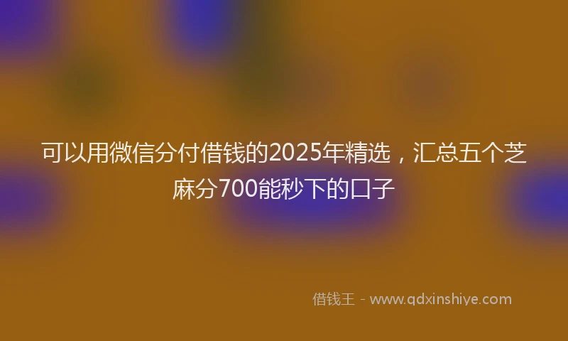 可以用微信分付借钱的2025年精选，汇总五个芝麻分700能秒下的口子