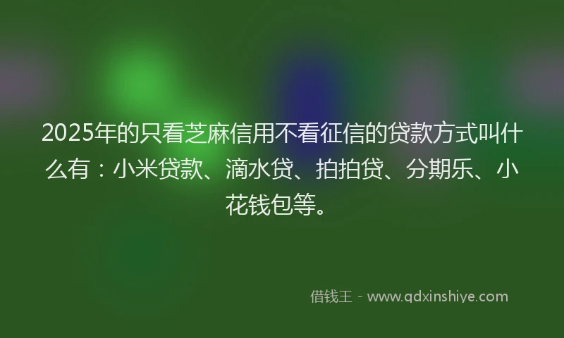 2025年的只看芝麻信用不看征信的贷款方式叫什么有：小米贷款、滴水贷、拍拍贷、分期乐、小花钱包等。