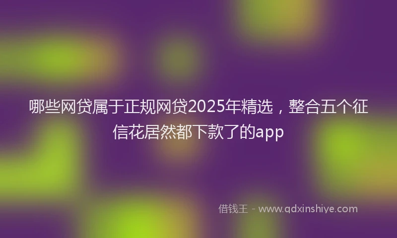 哪些网贷属于正规网贷2025年精选，整合五个征信花居然都下款了的app