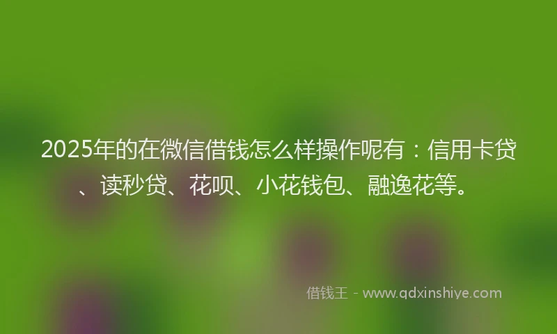 2025年的在微信借钱怎么样操作呢有：信用卡贷、读秒贷、花呗、小花钱包、融逸花等。