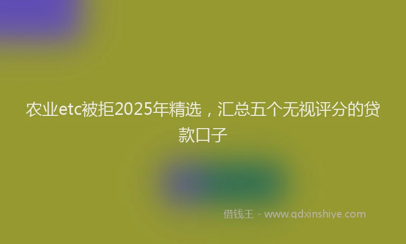 农业etc被拒2025年精选，汇总五个无视评分的贷款口子