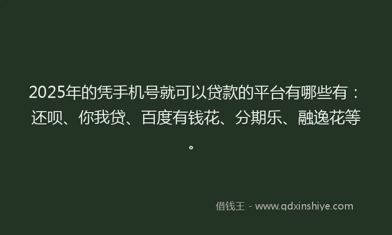 2025年的凭手机号就可以贷款的平台有哪些有：还呗、你我贷、百度有钱花、分期乐、融逸花等。