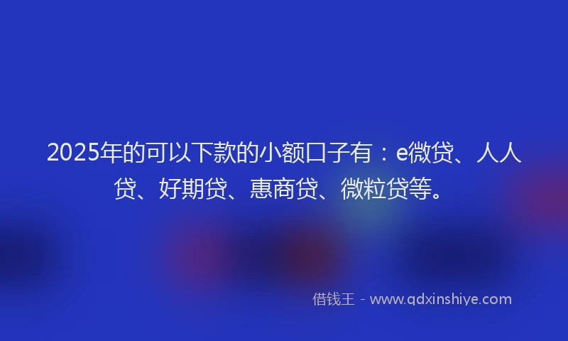 2025年的可以下款的小额口子有：e微贷、人人贷、好期贷、惠商贷、微粒贷等。
