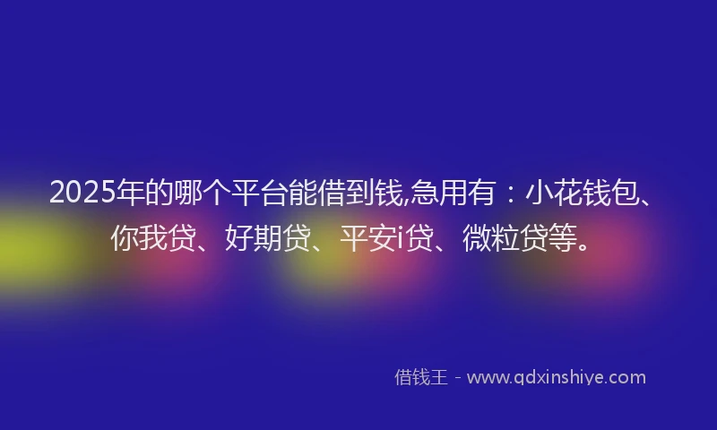 2025年的哪个平台能借到钱,急用有：小花钱包、你我贷、好期贷、平安i贷、微粒贷等。