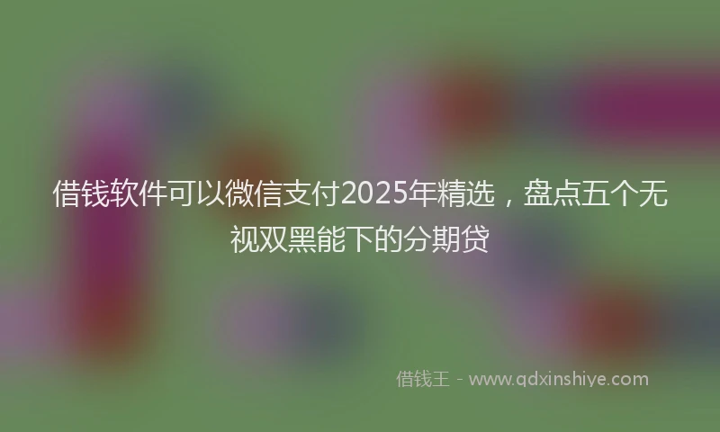 借钱软件可以微信支付2025年精选，盘点五个无视双黑能下的分期贷