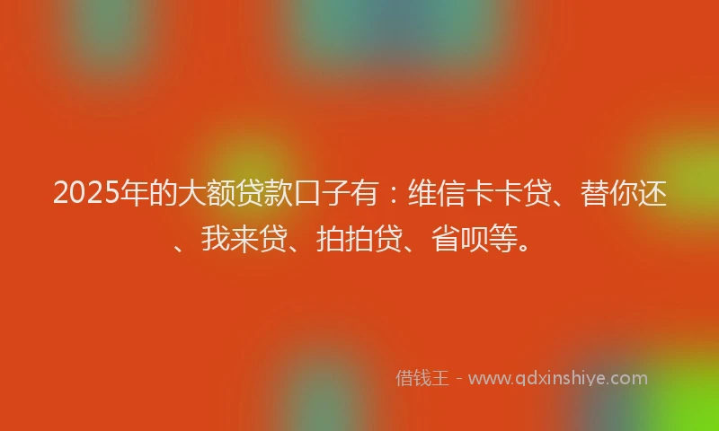 2025年的大额贷款口子有：维信卡卡贷、替你还、我来贷、拍拍贷、省呗等。