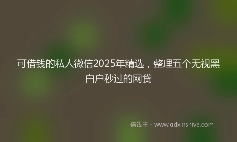 可借钱的私人微信2025年精选，整理五个无视黑白户秒过的网贷