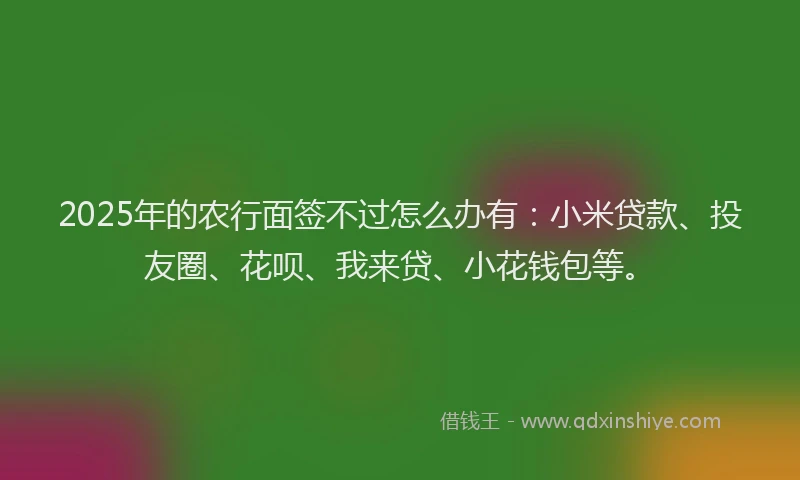 2025年的农行面签不过怎么办有：小米贷款、投友圈、花呗、我来贷、小花钱包等。