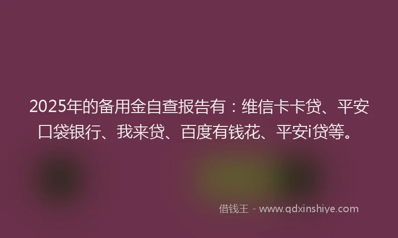 2025年的备用金自查报告有：维信卡卡贷、平安口袋银行、我来贷、百度有钱花、平安i贷等。
