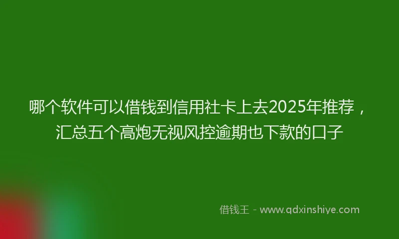 哪个软件可以借钱到信用社卡上去2025年推荐，汇总五个高炮无视风控逾期也下款的口子