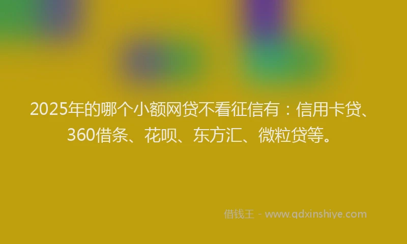 2025年的哪个小额网贷不看征信有：信用卡贷、360借条、花呗、东方汇、微粒贷等。
