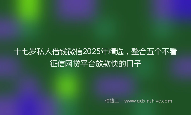 十七岁私人借钱微信2025年精选，整合五个不看征信网贷平台放款快的口子