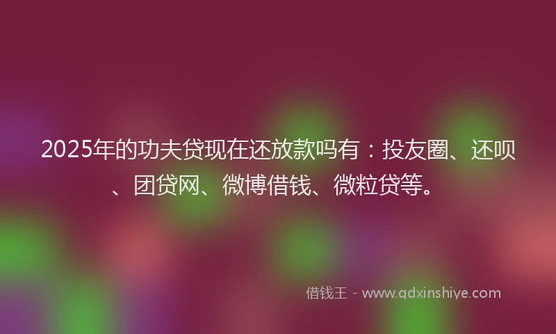 2025年的功夫贷现在还放款吗有：投友圈、还呗、团贷网、微博借钱、微粒贷等。