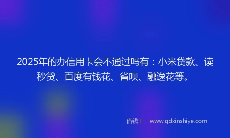 2025年的办信用卡会不通过吗有：小米贷款、读秒贷、百度有钱花、省呗、融逸花等。