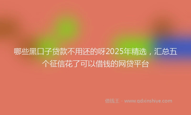 哪些黑口子贷款不用还的呀2025年精选，汇总五个征信花了可以借钱的网贷平台