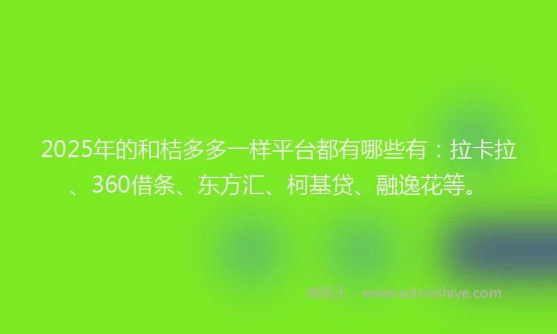 2025年的和桔多多一样平台都有哪些有：拉卡拉、360借条、东方汇、柯基贷、融逸花等。