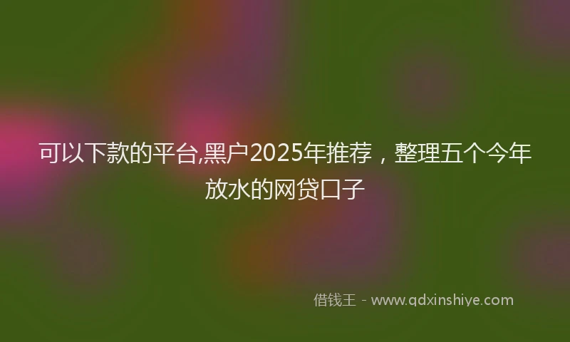 可以下款的平台,黑户2025年推荐，整理五个今年放水的网贷口子