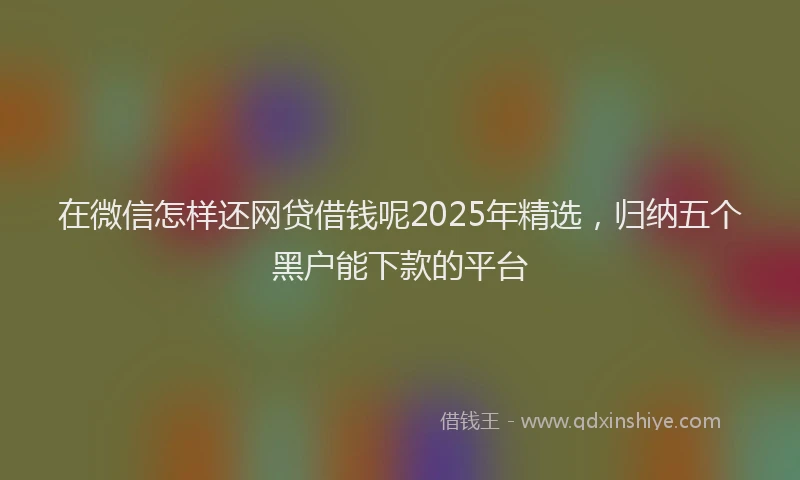 在微信怎样还网贷借钱呢2025年精选，归纳五个黑户能下款的平台