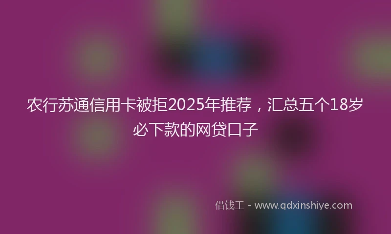 农行苏通信用卡被拒2025年推荐，汇总五个18岁必下款的网贷口子