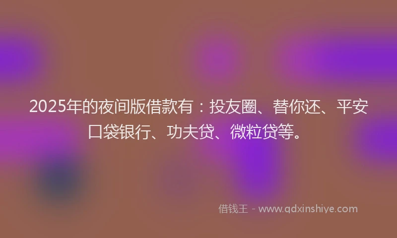2025年的夜间版借款有：投友圈、替你还、平安口袋银行、功夫贷、微粒贷等。