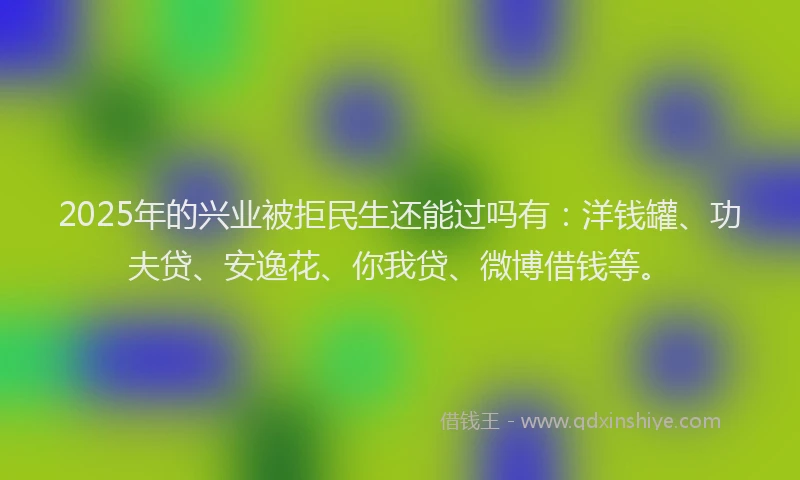2025年的兴业被拒民生还能过吗有：洋钱罐、功夫贷、安逸花、你我贷、微博借钱等。
