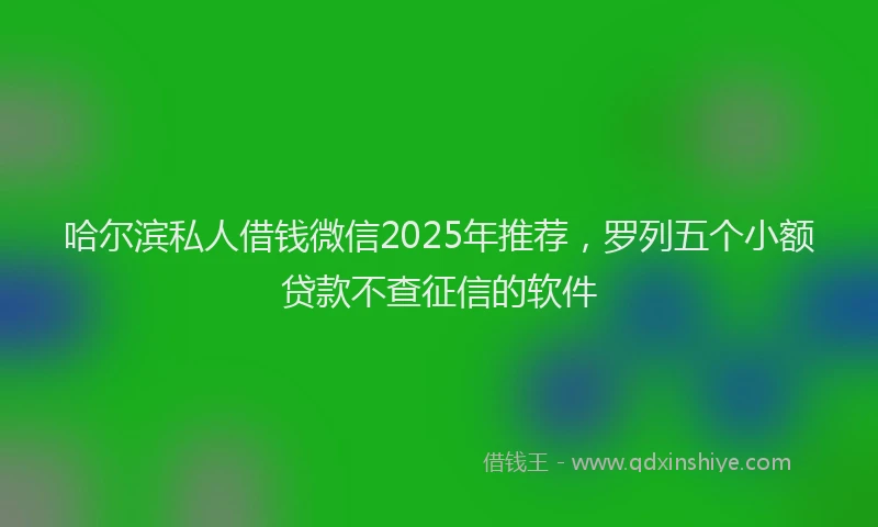 哈尔滨私人借钱微信2025年推荐，罗列五个小额贷款不查征信的软件
