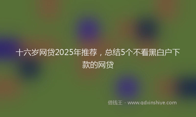 十六岁网贷2025年推荐，总结5个不看黑白户下款的网贷